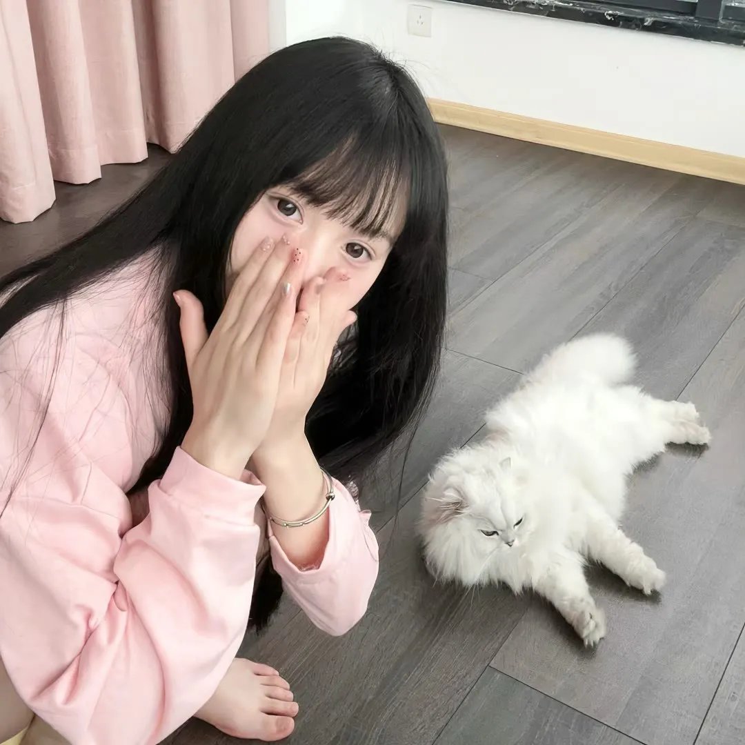 穿越大秦之旅行青蛙